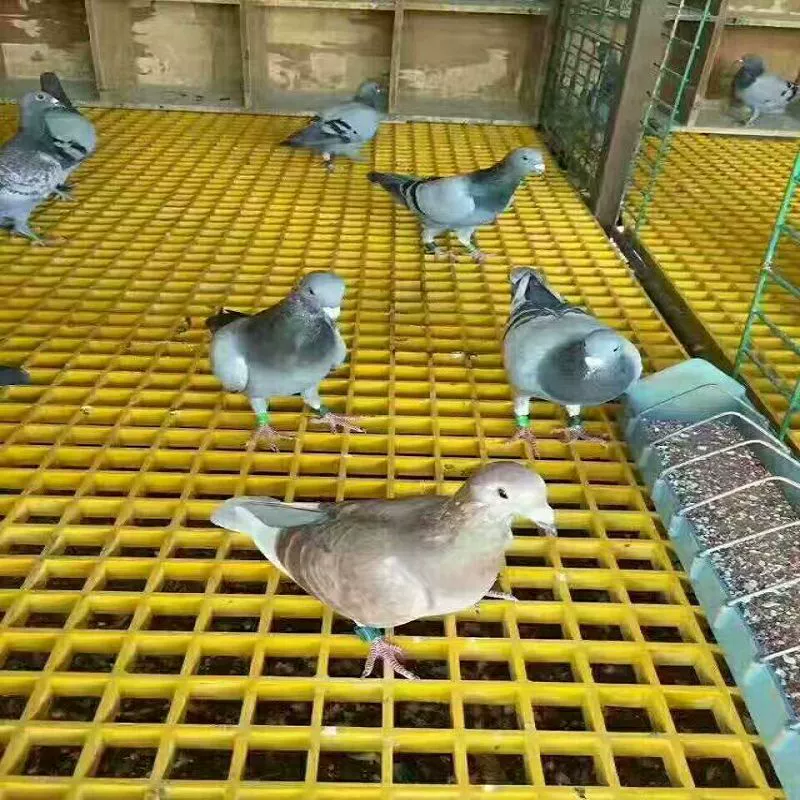 Фабрика прямых продаж 4S специальная решетка из стекловолокна