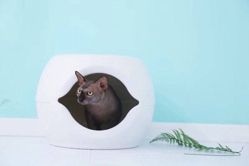 微信图片_20180909090458