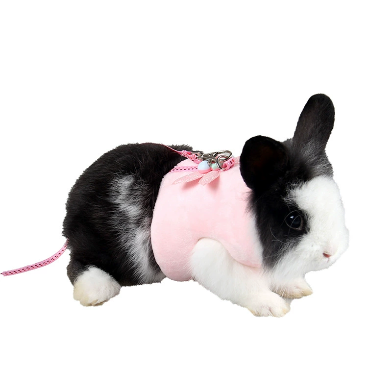 Одежда для ежиков из норки Jizai Тоторо Весенняя и летняя одежда для маленьких домашних животных нагрудный ремень голландская свинья Тяговая веревка
