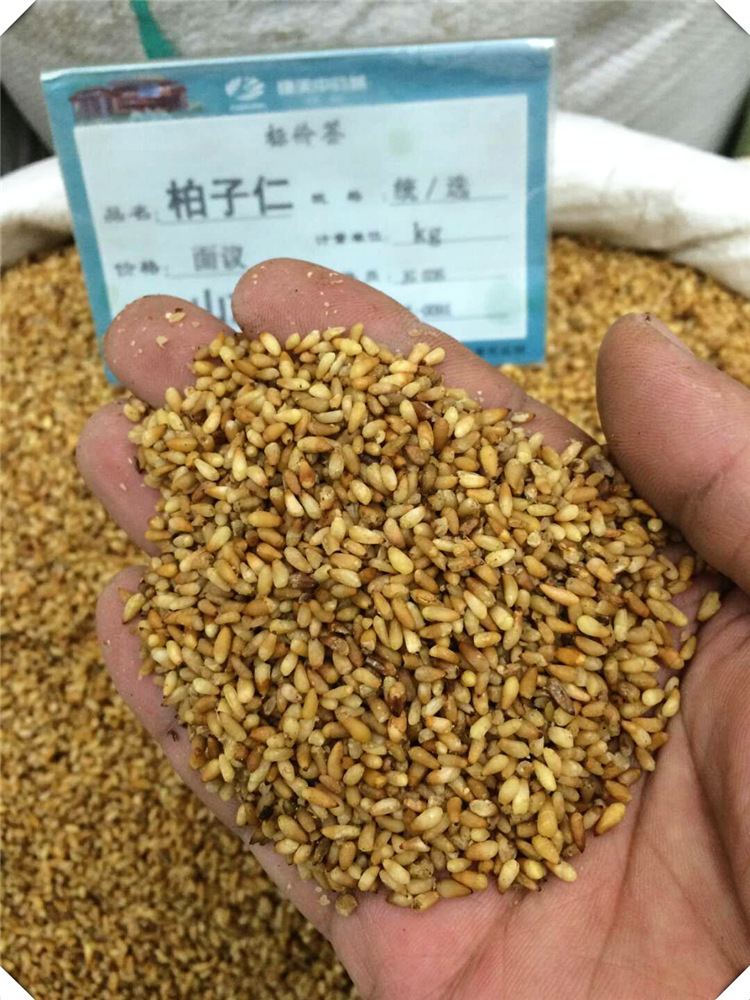 小型柏子仁加工机,带壳柏子仁图片,柏子仁去壳分离机_大山谷图库