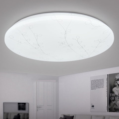 LED ultra-thin ceiling light, simple and modern round warm bedroom light, living room dining room corridor hallway remote control lamp