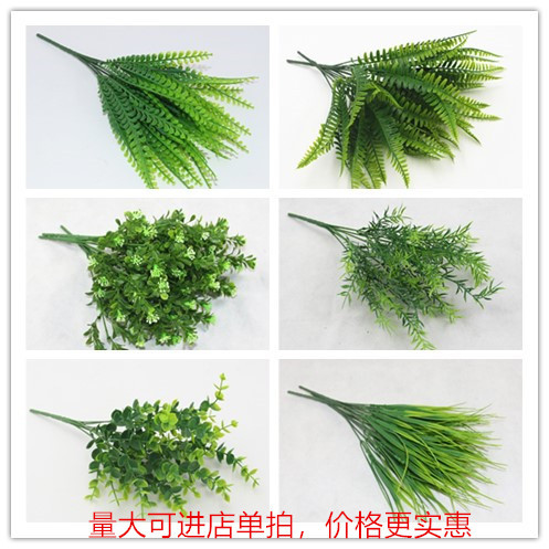 植物墙配材仿真绿色植物 水草塑料草 仿真波斯草 蕨类植物