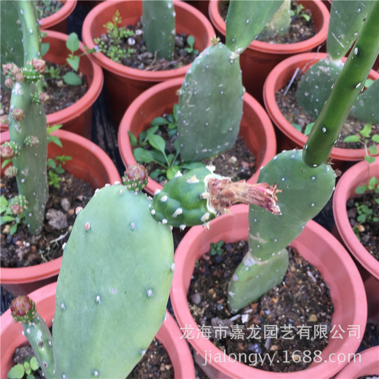 微信图片_20180112181245