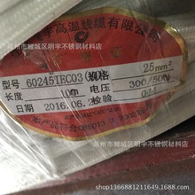 上海飞宇国标高温线AGRP 25 平方高温线 耐高温硅胶编织电线