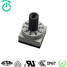 sǧƷ|10X10NƬ8_8λDa_P