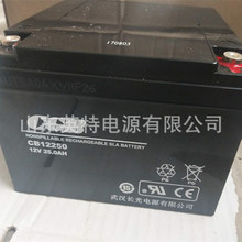 武汉长光cgb蓄电池CB12250 12V2H铅酸阀控免维护蓄电池