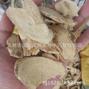�V���tѿ���n�ٲ� �tѿţ����ή�ٹ��A���{���� ��؛