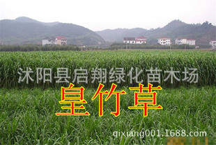 ���ͻ�������ݷN���Ϸ������������߮a�iţ���u���Z�~�ò���