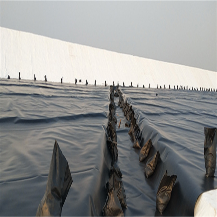 黄鳝养殖防水土工膜 养泥鳅 养甲鱼储油罐防渗土工膜 800克1000克