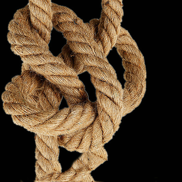 2937676338_1261086338