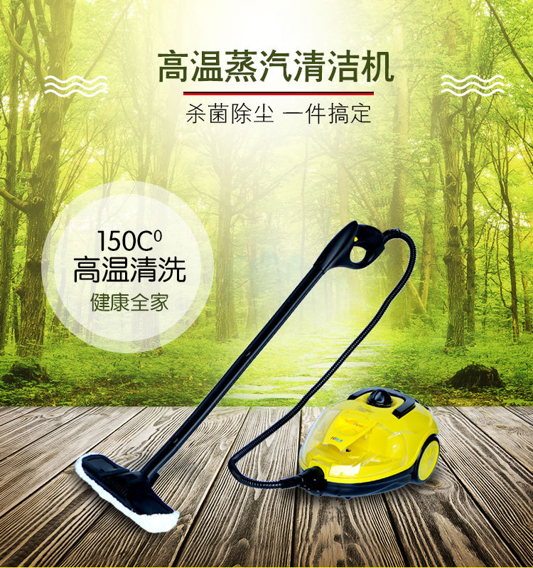 多功能蒸汽清洗机蒸汽拖把高温高压蒸汽清洗机油烟机清洗机挂烫机