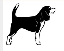��ó Beagle������ֽ Beagle ���� �׸�����Ȯ�������ȸ�Ȯ��ֽ
