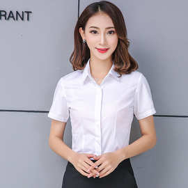 白色衬衫女短袖80棉免烫女式面试工作服职业装可刺绣logo衬衣