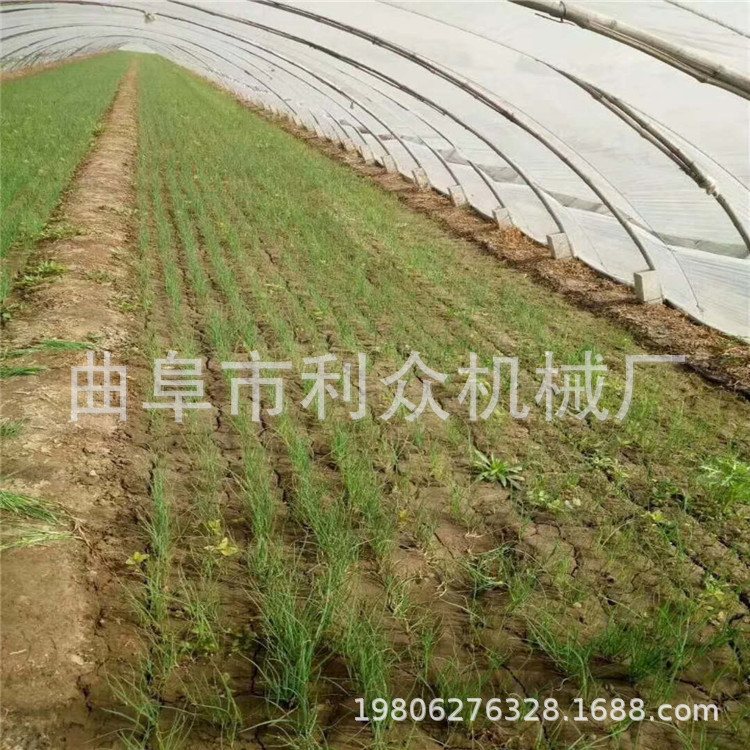大庆 娃娃菜 芹菜 芥菜 蔬菜播种机 买蔬菜播种机送模具
