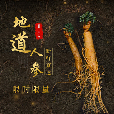 东北特产 吉林长白山鲜人参50g/支 140g/支 多规格 货源稳定 批发