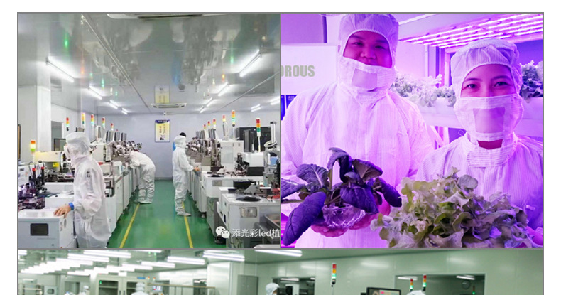 新阿凡达详情页_15