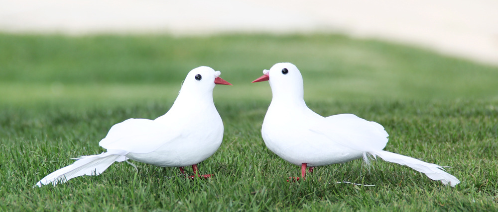 仿真小白鸽