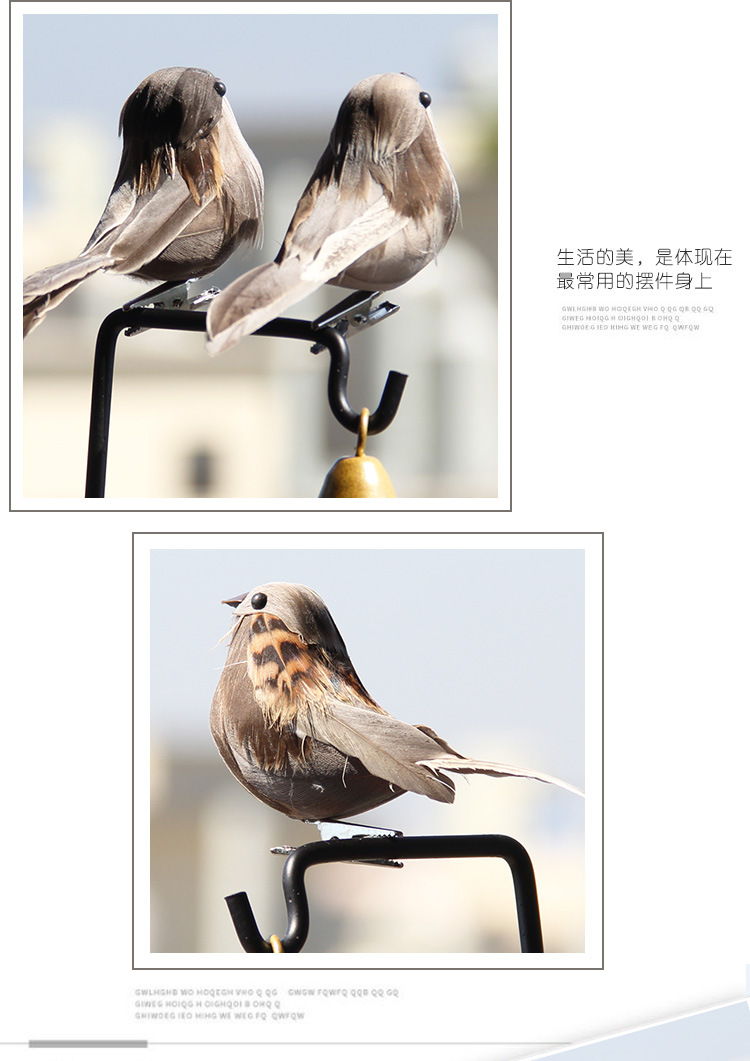 小鸟1_16.jpg