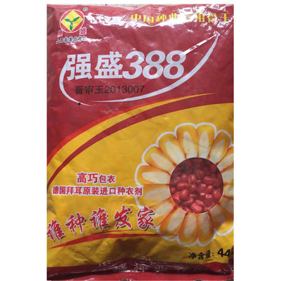 Corn seeds Powerful and prosperous 388 Corn seeds Disease Lodging Big stick stable Breed
