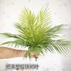 Simulation green iron tree potted bouquet 10, 10, fresher gum, simulation iron leaf simulation plant wall