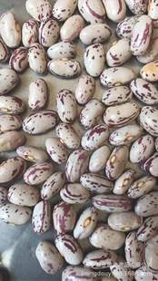 �½��A�̻�2022����һ�����У����ڼ���Ʒ�|�ֹ����x���A�̻�ܿ��