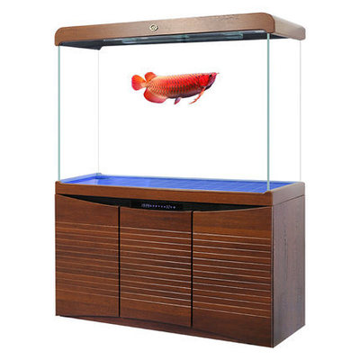 闽江鱼缸水族箱客厅家用底滤生态玻璃金鱼缸中型智能免换水龙鱼缸|ms