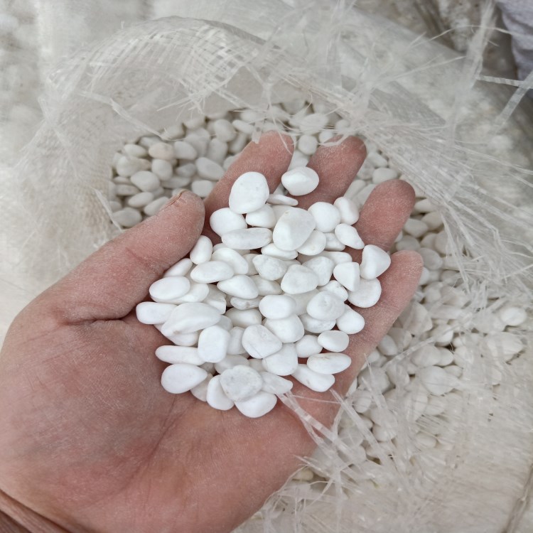 供应 白色机制鹅卵石 抛光鹅卵石 园林造景用彩色鹅卵石