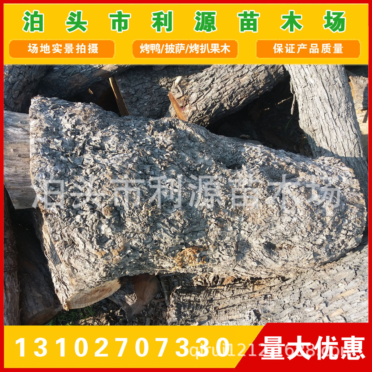 常年供应枣木 枣树木直径25-50公分 枣木 雕刻枣木 枣木墩用料-阿里巴巴