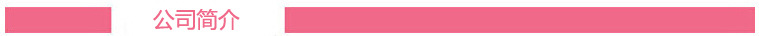 公司简介