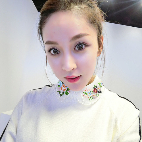 Women's Fake Collar Shirt Fake Collar Lace Chiffon Print Embroidery Fake Collar Doll Collar Stand Collar Half Collar