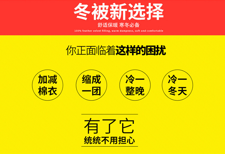 梦真床品加厚羊羔绒冬被保暖双面绒法莱绒被子羊毛被芯厂家批发详情3