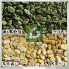 全自动蚕豆脱皮分瓣机，蚕豆瓣脱皮机，蚕豆去皮分瓣机