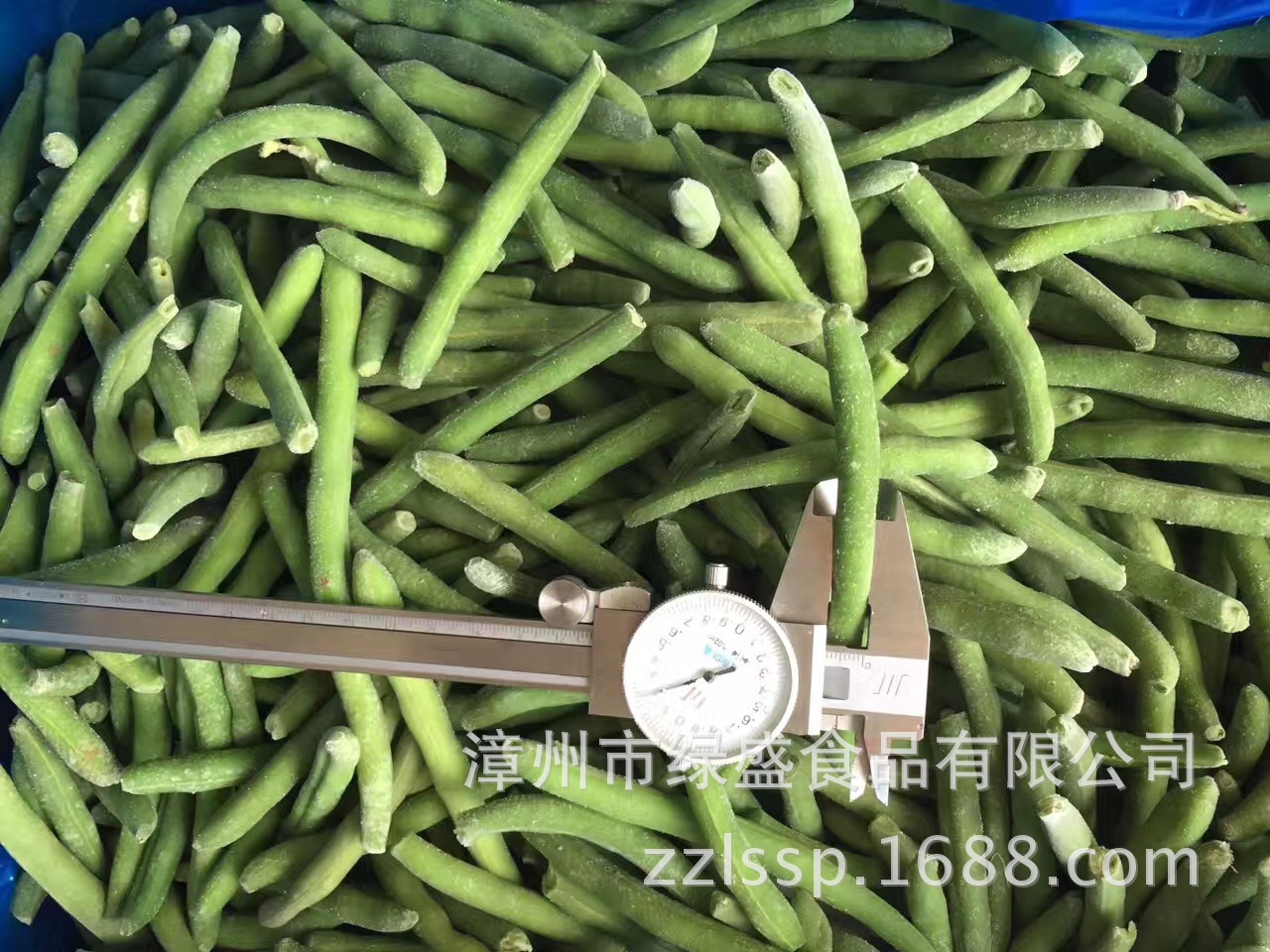 速冻青刀豆条 段