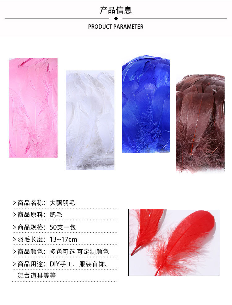 大飘羽毛详情_03