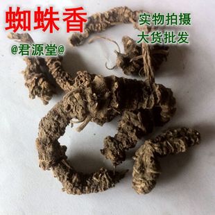 �䱳��ș�Ĺ��i�� ֩���� �ε��� ������ ����