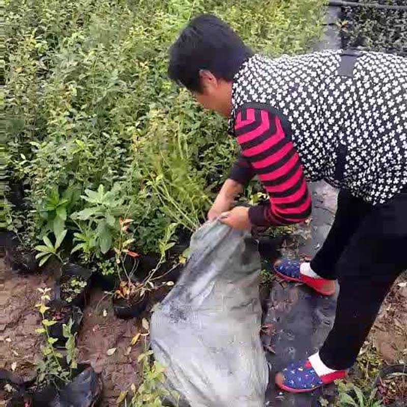 650741E1EA5A0B8FD6A9BB80239AC2