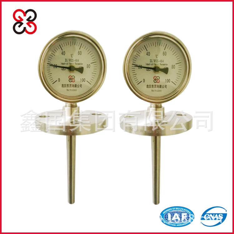 供应万向型双金属温度计100mm WSS-586 不锈钢温度计 可定做