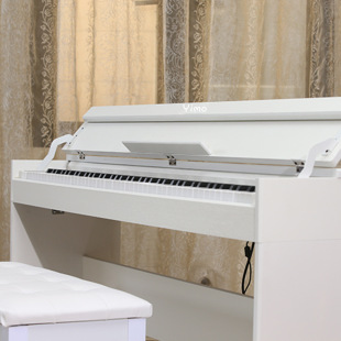 88�Iȫ�����I�P ���N���a��� ������ʽ���˃�ͯ�ԌW�{������