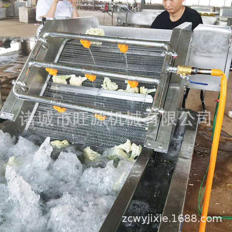 厂家供货  气泡清洗机 304不锈钢蔬菜清洗设备 果蔬清洗机器