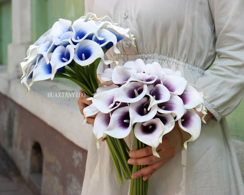 Mini Calla Lily