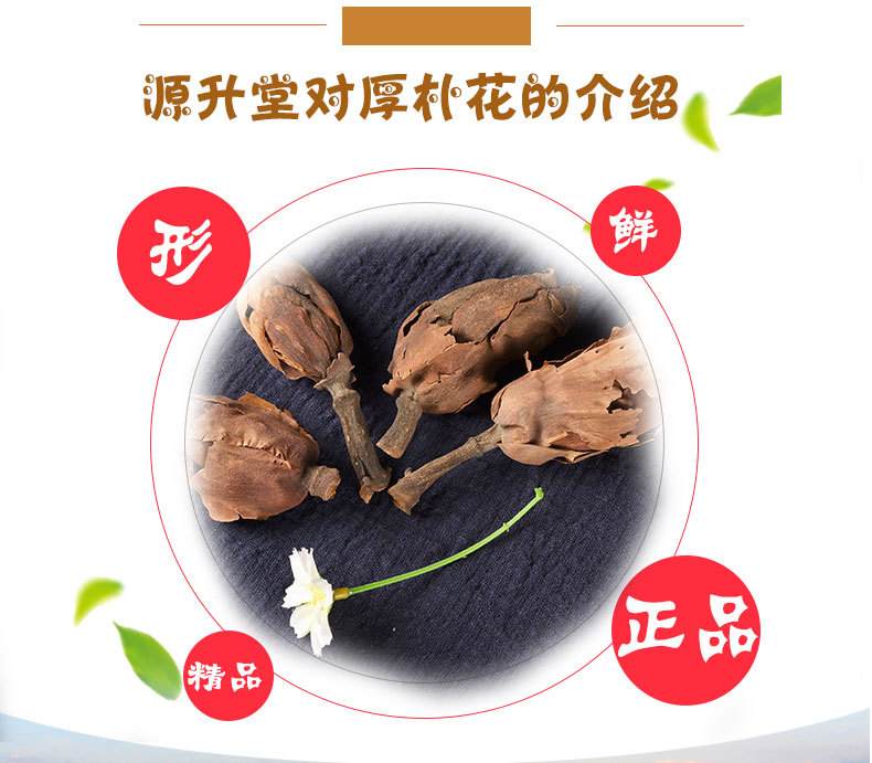 Hou Po Hua (Magnolia officinalis Flower) — Dried Food Herb for Tea & Soup quality and texture