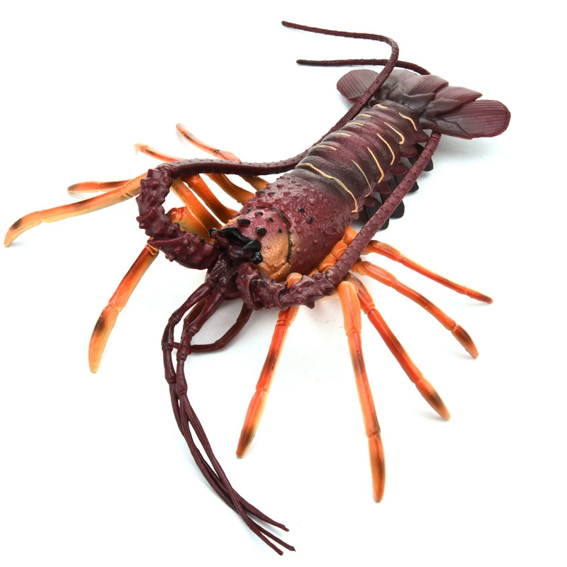 Cross -border имитационная большая ракообразная модель реальная лобстер Бостона лобстер австралийский лобстер модель детские пазлы игрушки