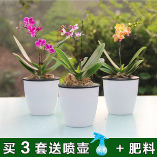 �҃����Ժ����m��������m���箔���_������l؛ 4-7Ƭ�~��