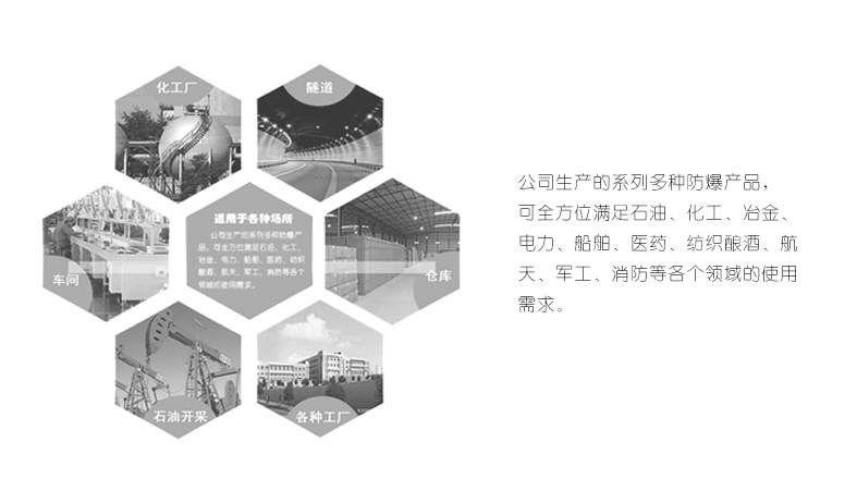 厂家直销 防爆动力配电箱 防爆配电箱 防爆动力柜