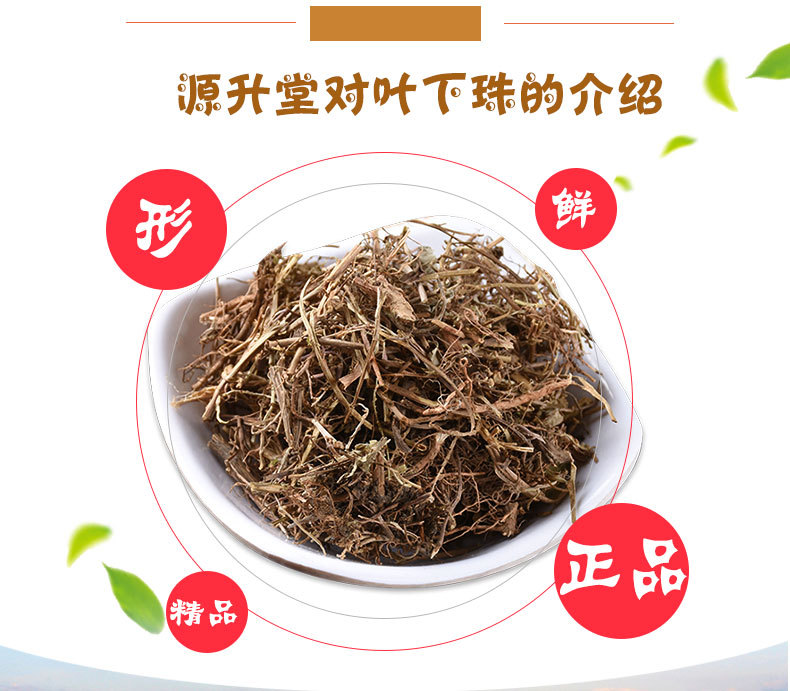 Ye Xia Zhu (Phyllanthus urinaria) — Dried Food Herb, Guangxi Origin, 500g key features