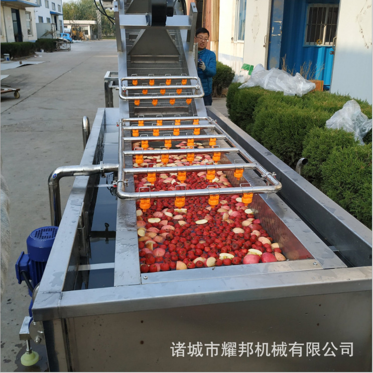 蓝莓果枸杞气泡清洗机 果蔬臭氧清洗设备 尺寸可定制