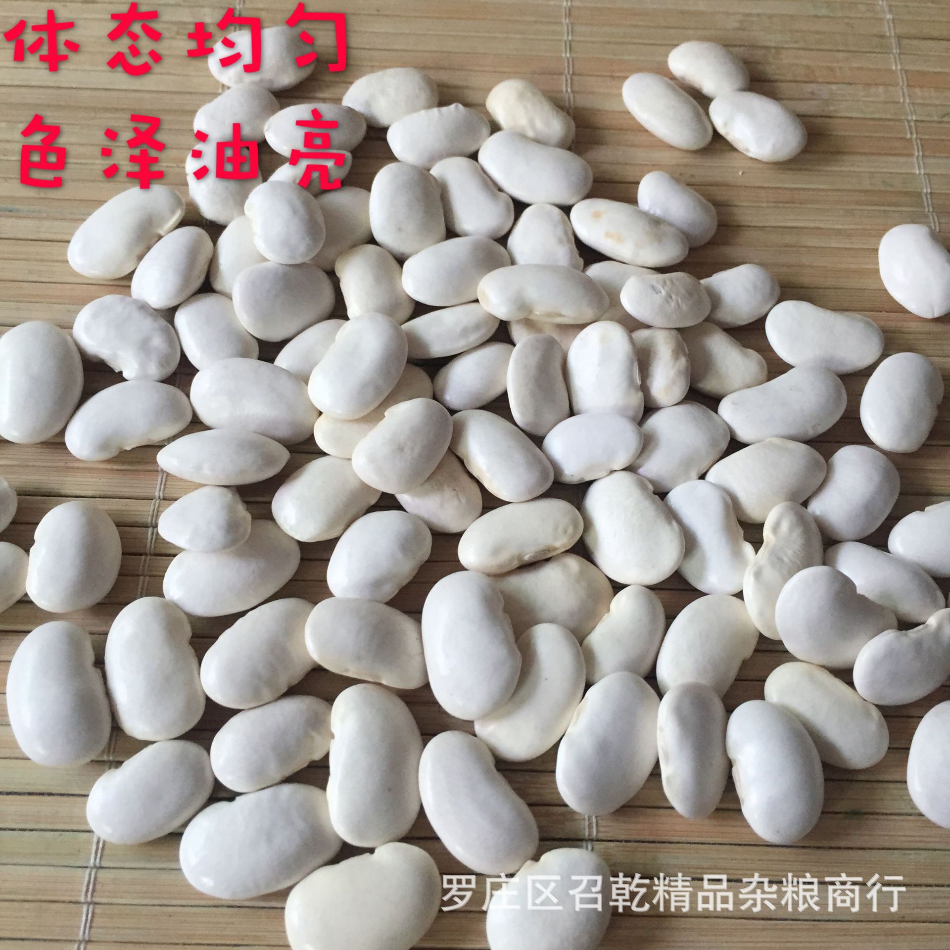 中国-2019-大白芸豆-85粒-HPS | 光明貿易 雑豆情報