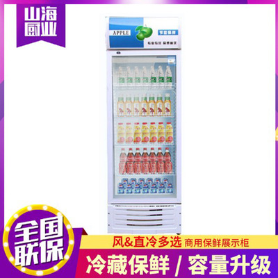 Supermarket Beverage Cabinet Cold storage Vertical freezer Beer cabinet Drinks Wine Display cabinet Single door freezer
