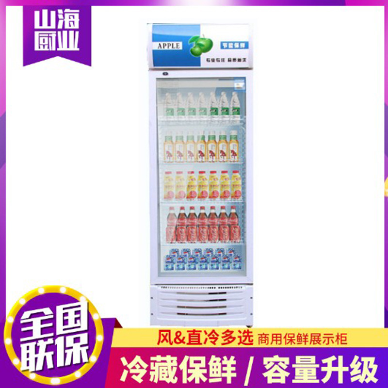 Supermarket Beverage Cabinet Cold storage Vertical freezer Beer cabinet Drinks Wine Display cabinet Single door freezer