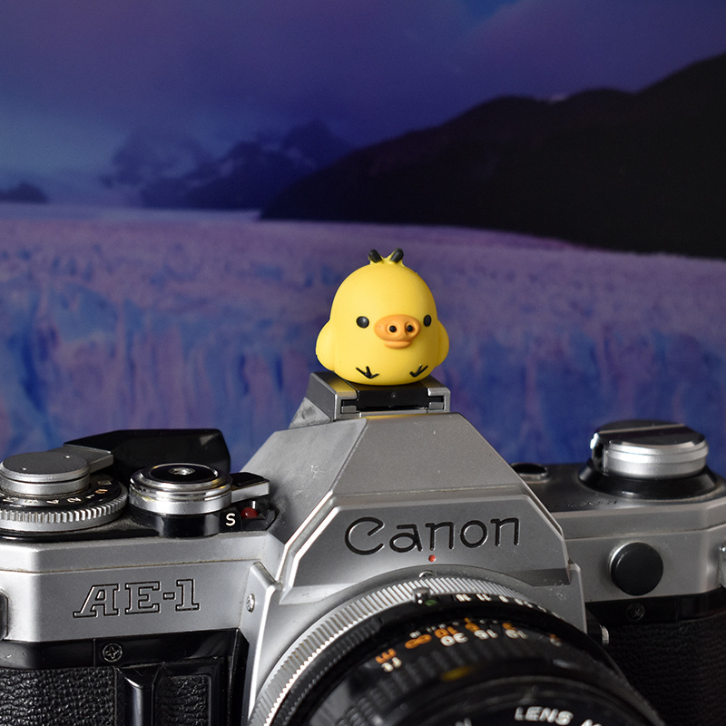 猪小鸡热靴盖 (1).JPG